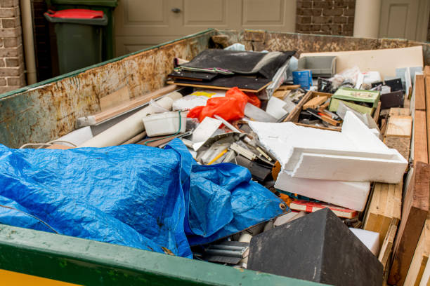 Best Shed Removal  in Edgewater, FL